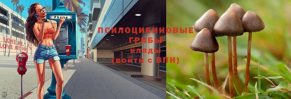 сатива Богородицк