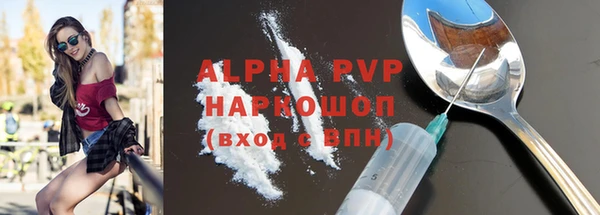 ГАЛЛЮЦИНОГЕННЫЕ ГРИБЫ Богданович