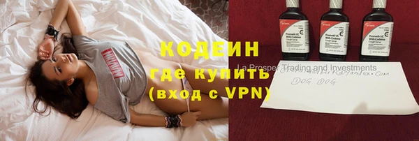 ГАЛЛЮЦИНОГЕННЫЕ ГРИБЫ Богданович