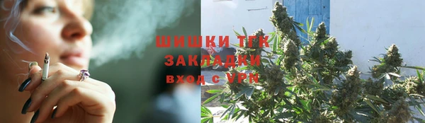сатива Богородицк