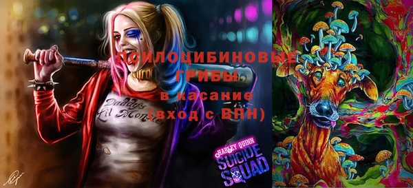сатива Богородицк