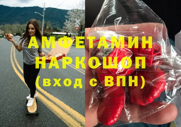 ГАЛЛЮЦИНОГЕННЫЕ ГРИБЫ Богданович