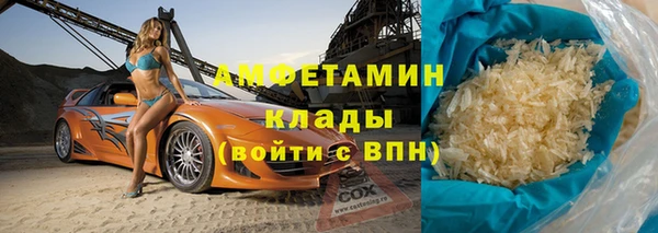 ГАЛЛЮЦИНОГЕННЫЕ ГРИБЫ Богданович