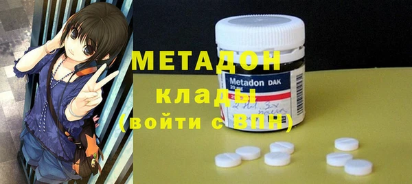 ГАЛЛЮЦИНОГЕННЫЕ ГРИБЫ Богданович